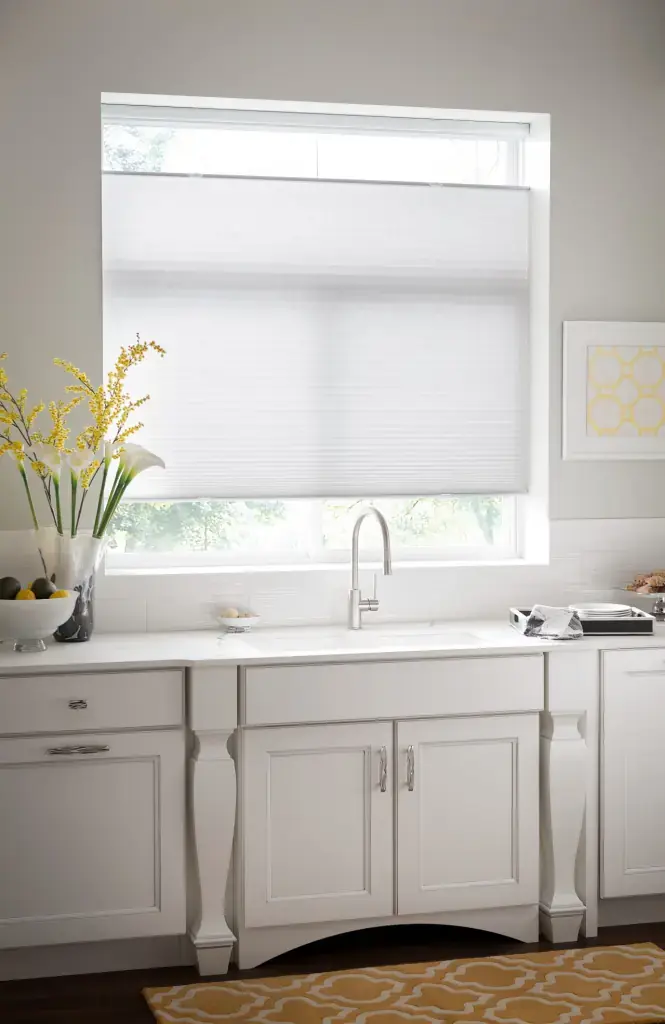 Cellular blinds in a bright living room showing honeycomb structure